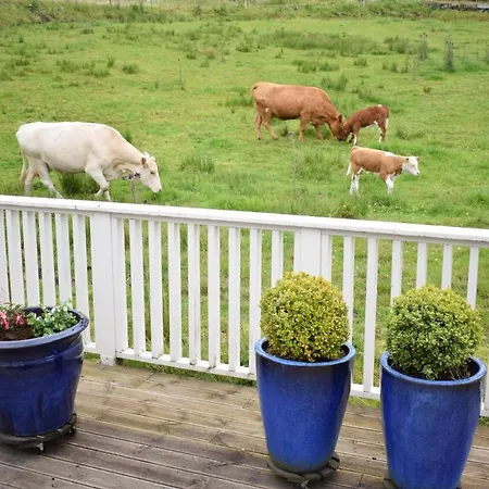 Gorgeous In With House Sea View *