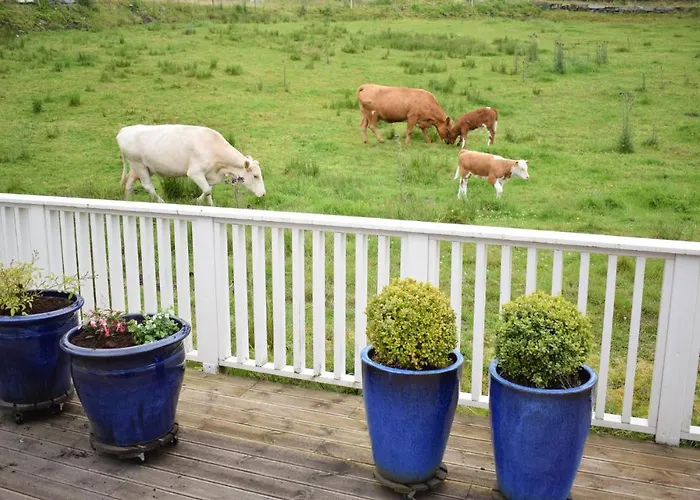 4 Bedroom Gorgeous In *